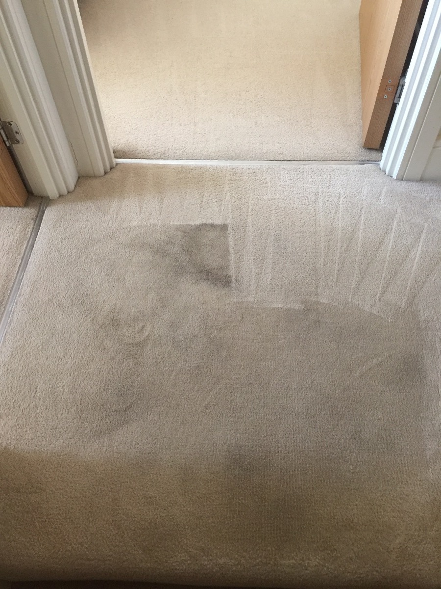 Cleaner: Image 28